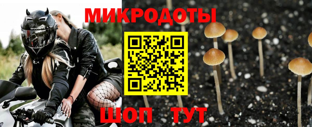Псилоцибиновые грибы мухоморы  Псилоцибиновые грибы мухоморы  Азнакаево  Вход с VPN 